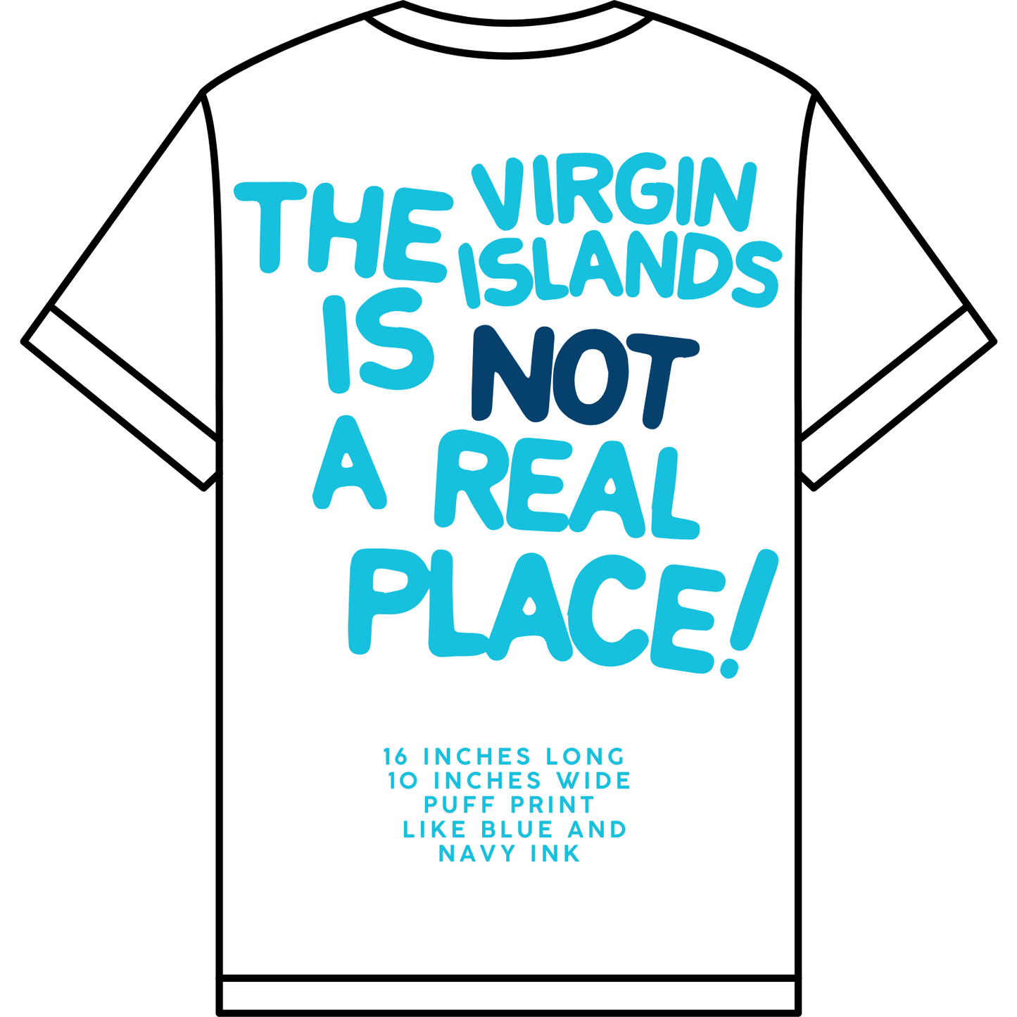 Unisex White | Blue The VI is Not a Real Place Tee