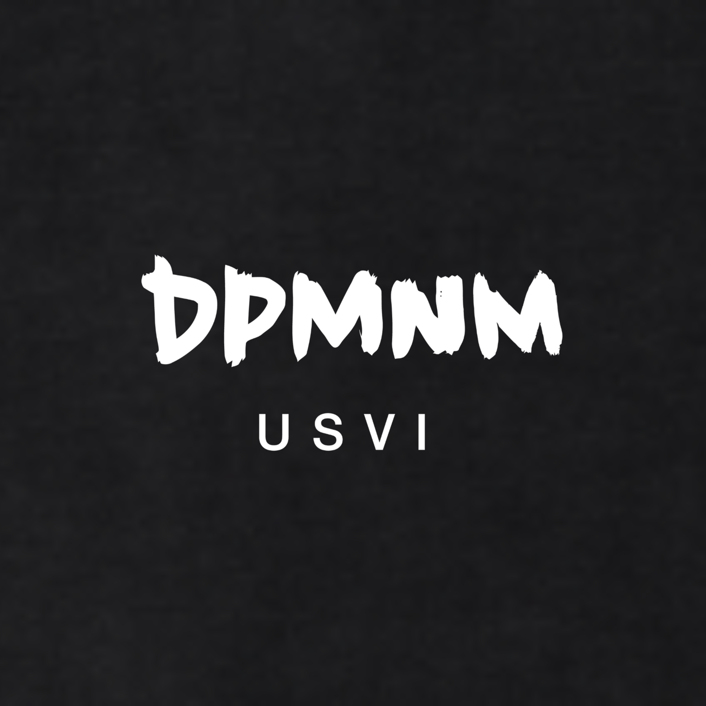 Womens Vneck Tee (Various Colors)