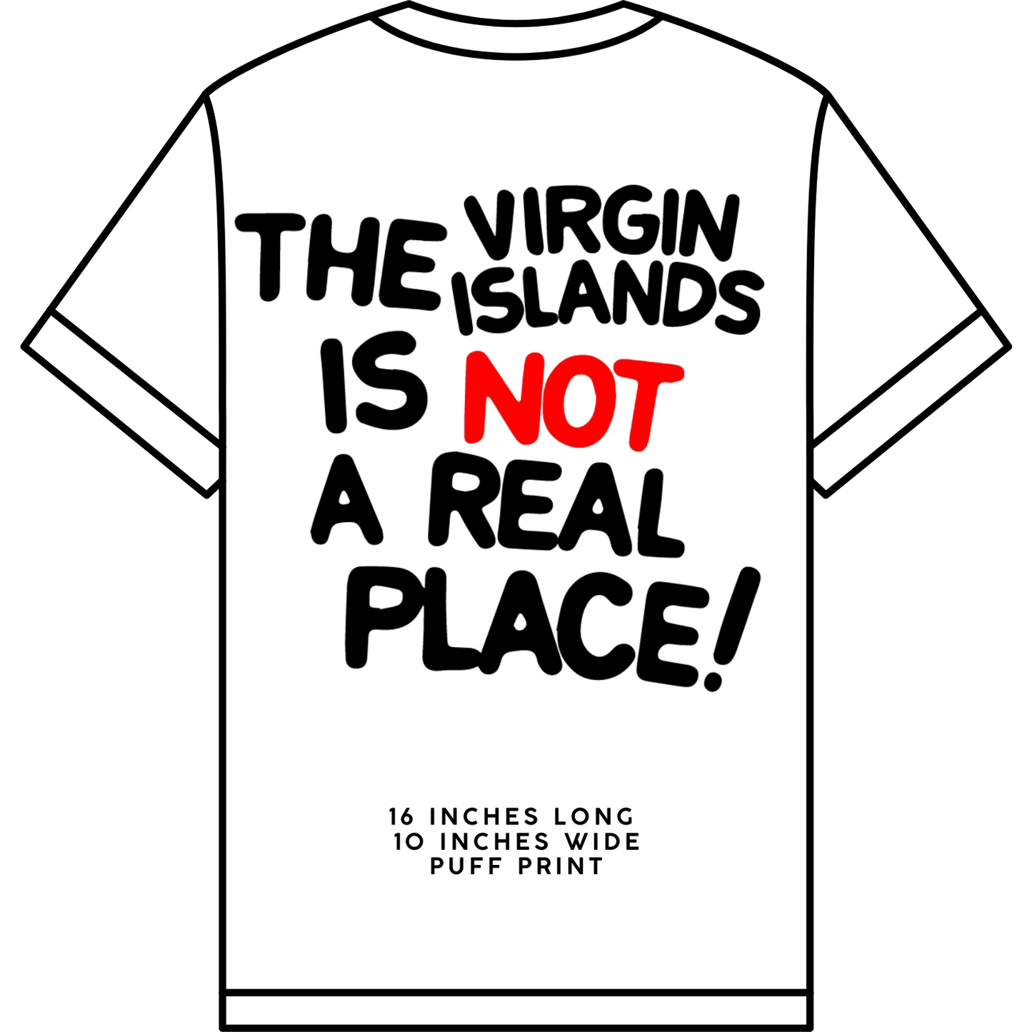 Unisex White | Black The VI is Not a Real Place Tee