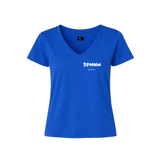 Womens Vneck Tee (Various Colors)