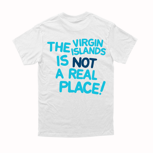 Unisex White | Blue The VI is Not a Real Place Tee