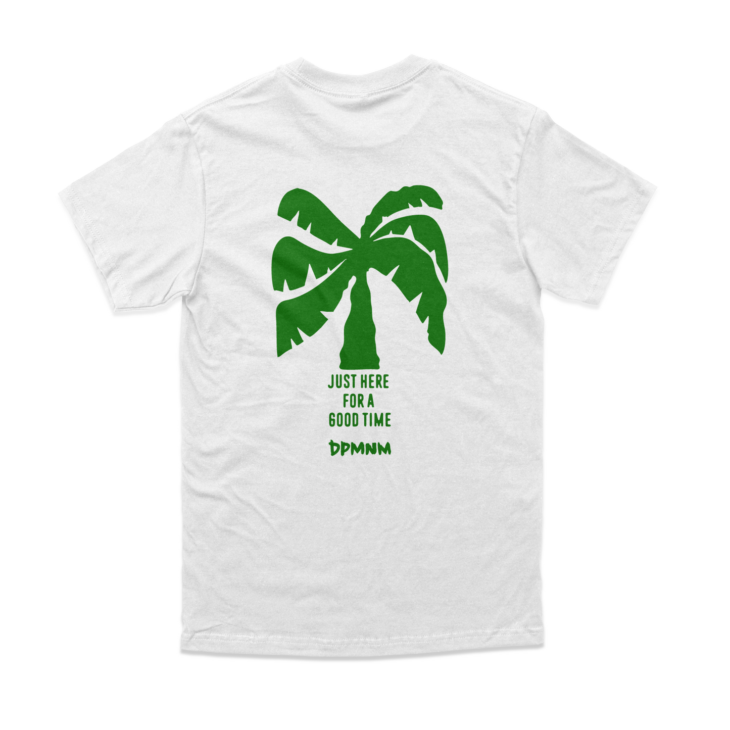 Unisex 2025 St.Patty's Tee (multiple colors)