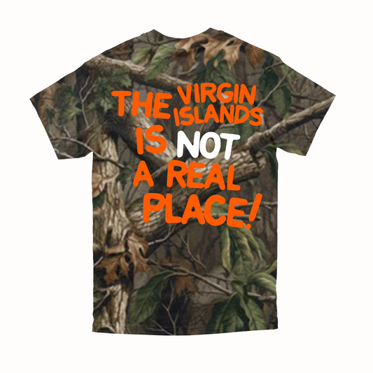Unisex Camo The VI is Not a Real Place Tee
