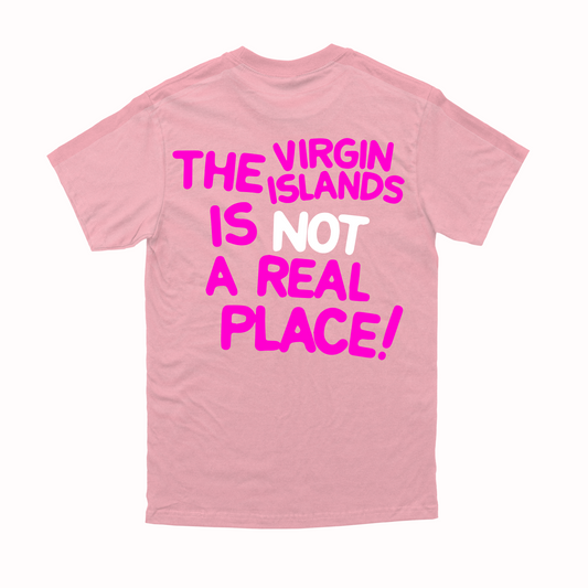 Unisex Pink The VI is Not a Real Place Tee