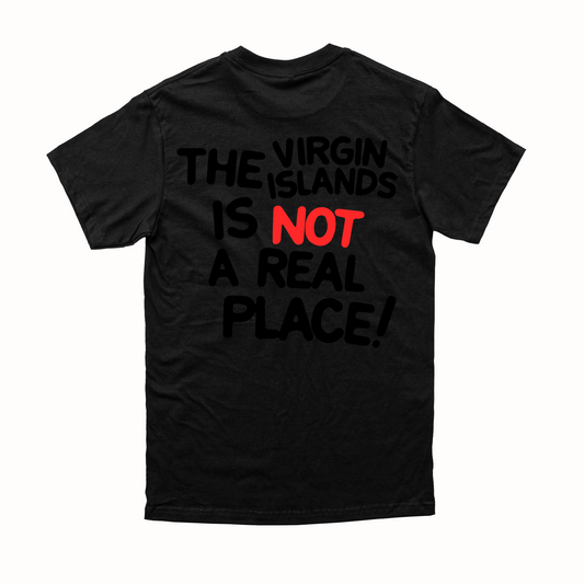 Unisex Black | Black The VI is Not a Real Place Tee
