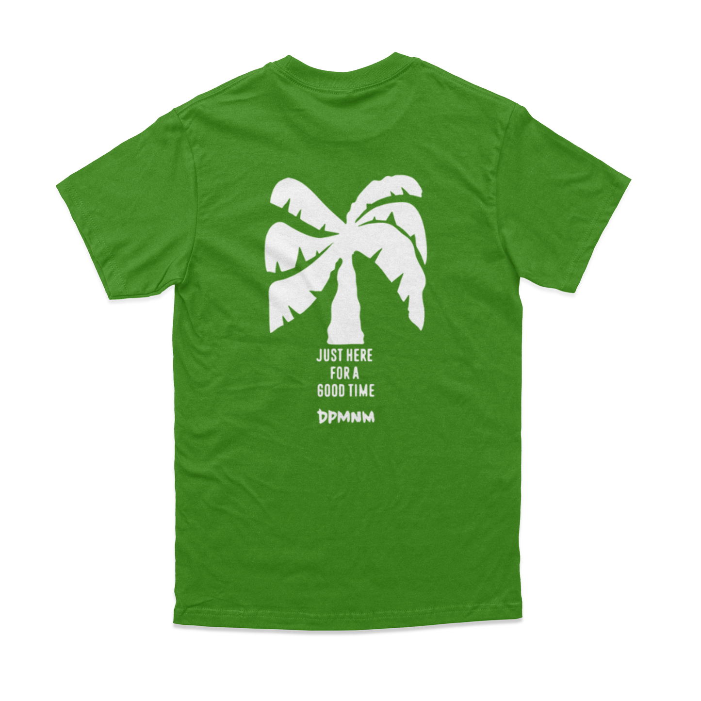 Unisex 2025 St.Patty's Tee (multiple colors)